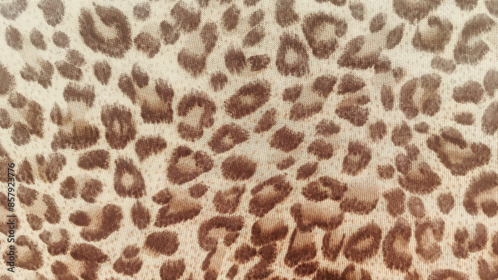 Leopard fur texture close-up, wild animal pattern design Leopard fur texture close-up, wild animal pattern design