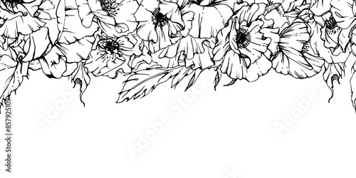 Hand drawn vector graphic botanical illustration flowers leaves. Red poppy papaver, stems buds seedpods. Seamless banner isolated white background. Design wedding, cards, remembrance day stationery