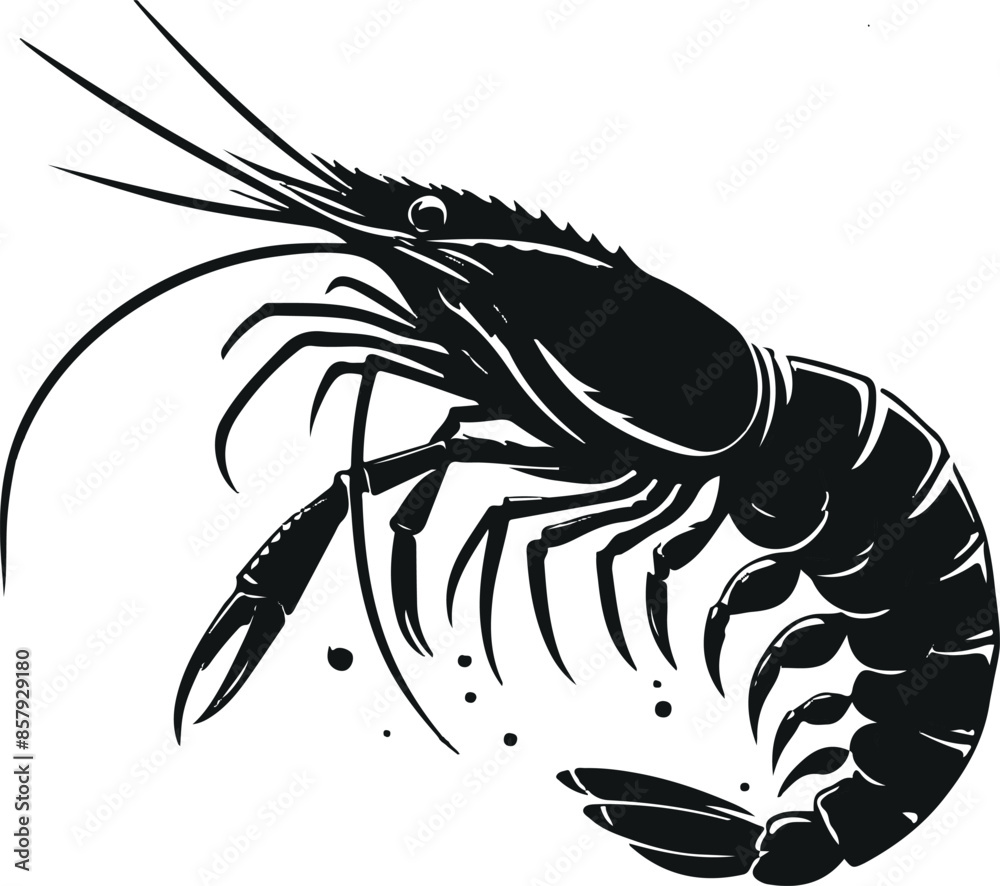 Shrimp vector illustration Shrimp vector illustration