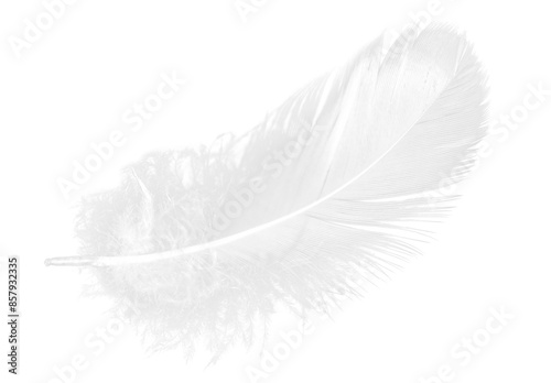 White Feather Isolated on Transparent Background