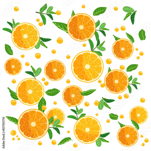 Vector Drops Fresh Orange Fruits with leaf slice with white Background