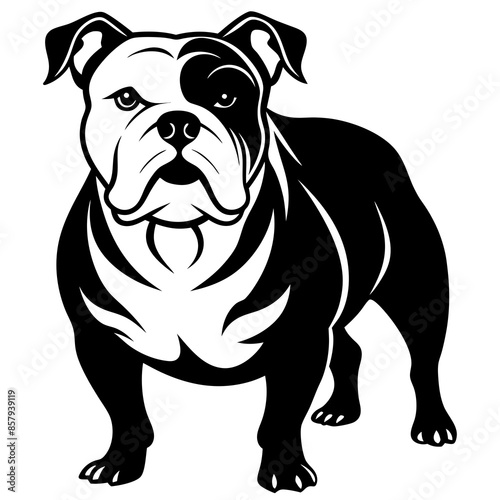 Bulldog Vector Illustration on white background