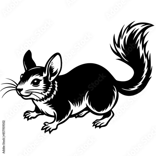 Chinchilla Running Silhouette Vector on white background
