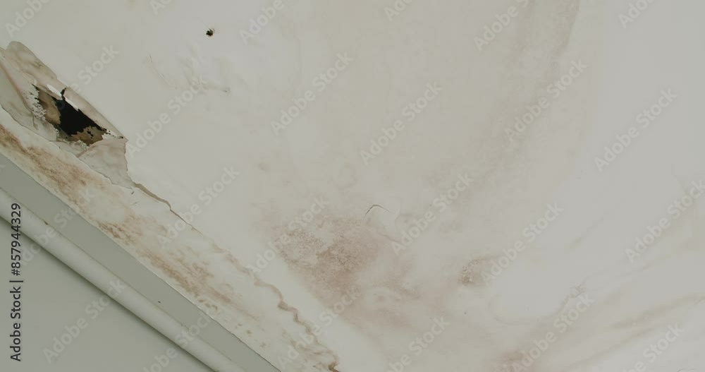 Office building or house problem for house service. Ceiling panels with fungus outside house from water pipes damaged or rainy leaked. Office building or house problem for house service. Ceiling panels with fungus outside house from water pipes damaged or rainy leaked.