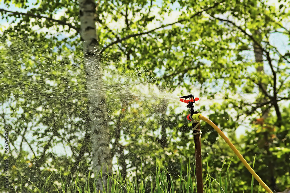 Fototapeta premium Spraying water using a sprinkler.