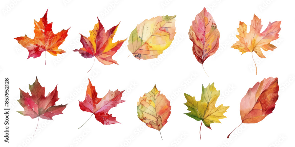 Obraz premium A set of watercolor autumn leaves isolated on a white background