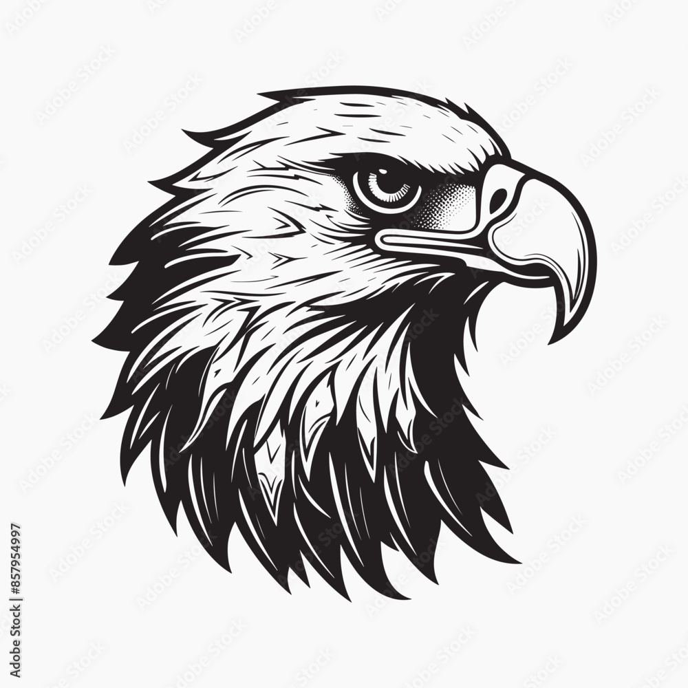 Fototapeta premium Majestic eagle head illustration