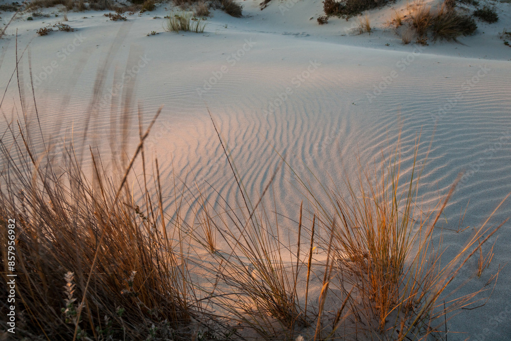 sand dune at sunset with beam of light on immaculate pattern sand dune at sunset with beam of light on immaculate pattern