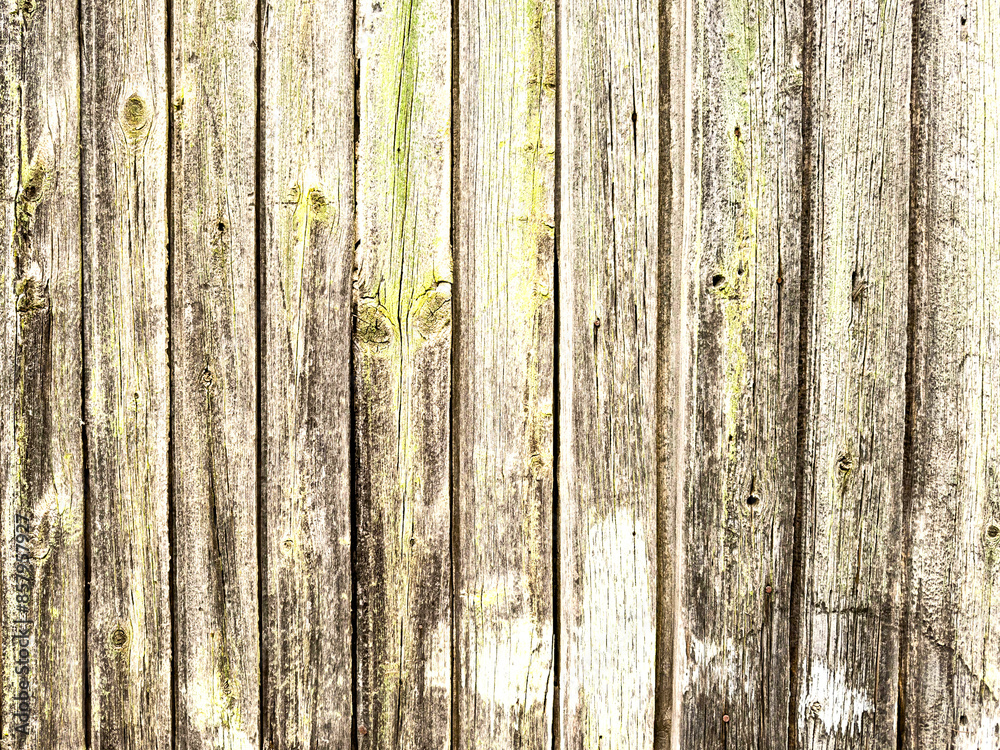 Fototapeta premium Discover the Artistry of Wooden Texture as a Mesmerizing Background