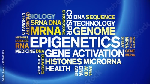 Epigenetics animated word cloud;text design animation tag kinetic typography seamless loop. photo