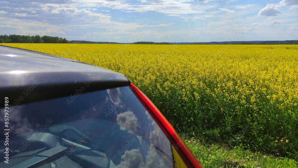 View on a car back roof on Beautiful yellow green field and blue sky. Car travel ecological tourism