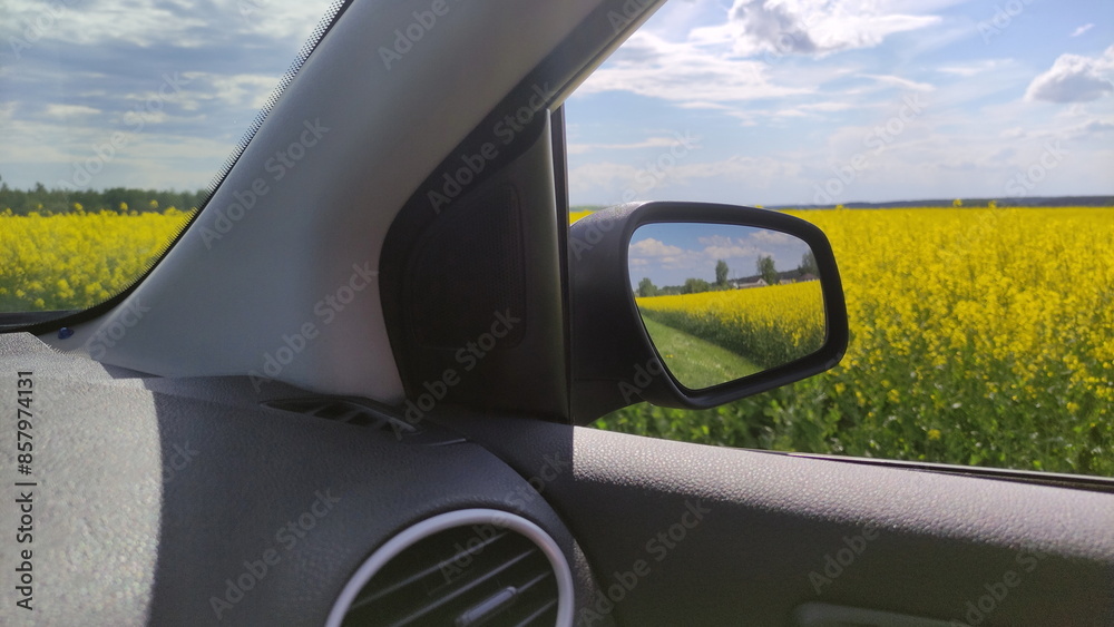 View of a car mirror on Beautiful green field and blue sky. Car travel ecological tourism