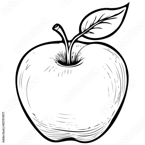 Ink Zabergay Reinette Apple hand drawn fruit illustration, transparent background photo