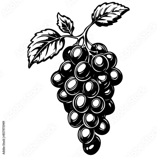 Raisin black hand drawn fruit illustration, transparent background