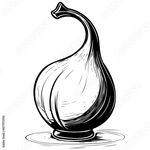 Realistic Calabash of hand drawn fruit illustration, transparent background