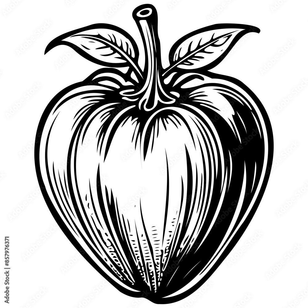Ukranian Heart Tomato realistic,  ink sketch of fruit outline, transparent background