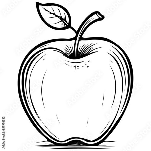 Vector Splendor Apple drawing, outline cartoon fruit, vector engraving with transparent background