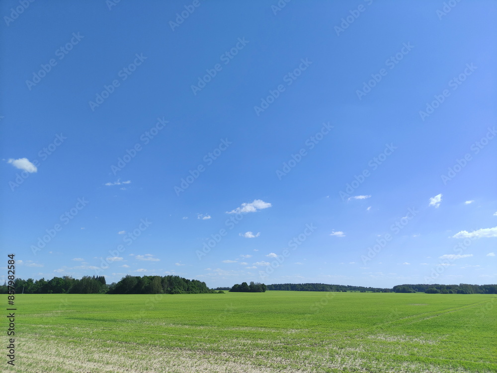 Beautiful European farming landscape with blue sky and green field at Sunny Summer day