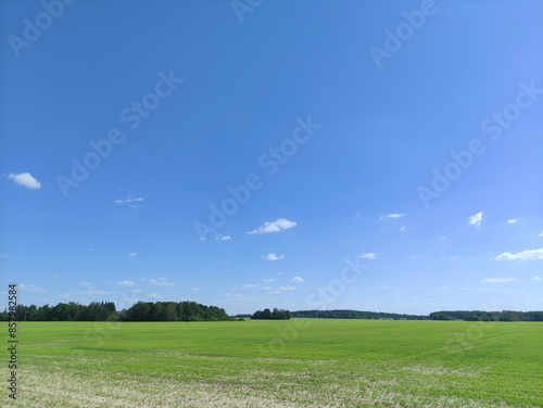 Obraz na płótnie Beautiful European farming landscape with blue sky and green field at Sunny Summer day w salonie