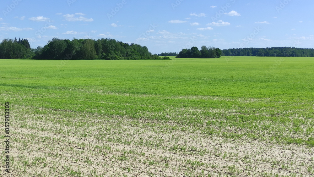 Beautiful European farming landscape with green field and blue sky at Sunny Summer day