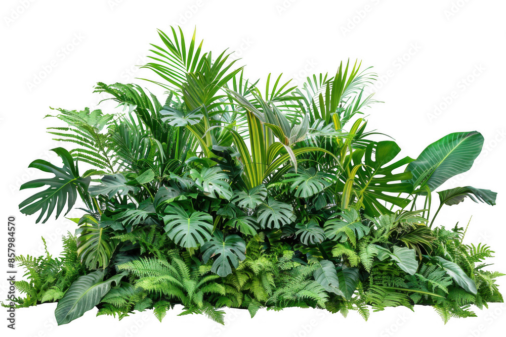 Dense Clump of Tropical Plants Dense Clump of Tropical Plants