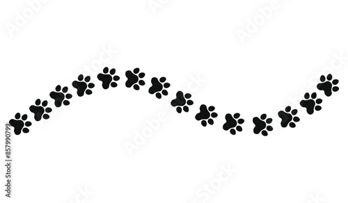 paw vector footprint pet walk pattern on white background