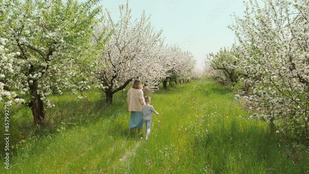 Mother with her little son walking holding hand enjoy the flowering of apple trees in the garden Mother with her little son walking holding hand enjoy the flowering of apple trees in the garden
