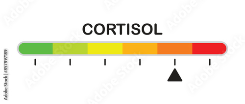 Color scale, cortisol level indicator, stress and anxiety measurement, flat design.
