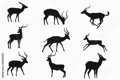 Roe deer silhouettes