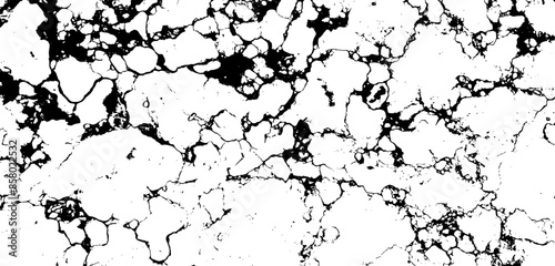 Black and White Marble Stone Vector Texture