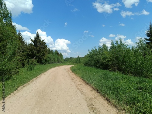 Road in forest in Siauliai county during sunny summer day. Oak and birch tree woodland. Sunny day with white clouds in blue sky. Bushes are growing in woods. Sandy road. Nature. Summer season. Miskas.