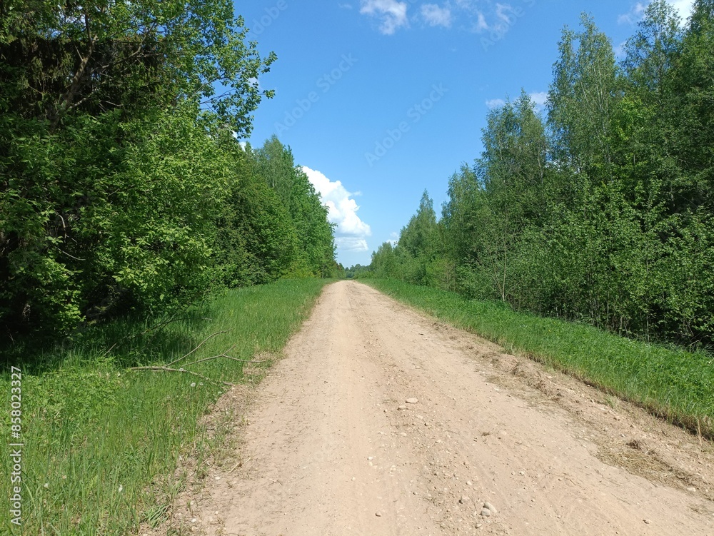 Road in forest in Siauliai county during sunny summer day. Oak and birch tree woodland. Sunny day with white clouds in blue sky. Bushes are growing in woods. Sandy road. Nature. Summer season. Miskas. Road in forest in Siauliai county during sunny summer day. Oak and birch tree woodland. Sunny day with white clouds in blue sky. Bushes are growing in woods. Sandy road. Nature. Summer season. Miskas.
