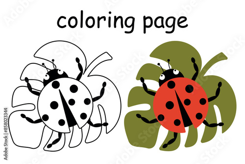 Vector Cute ladybug sitting on a leaf. illustration for coloring book