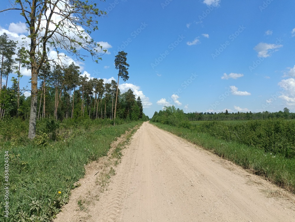 Road in forest in Siauliai county during sunny summer day. Oak and birch tree woodland. Sunny day with white clouds in blue sky. Bushes are growing in woods. Sandy road. Nature. Summer season. Miskas. Road in forest in Siauliai county during sunny summer day. Oak and birch tree woodland. Sunny day with white clouds in blue sky. Bushes are growing in woods. Sandy road. Nature. Summer season. Miskas.