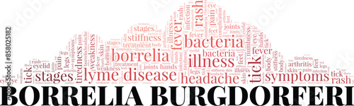 Lyme Disease: Borrelia Burgdorferi word cloud conceptual design isolated on white background.