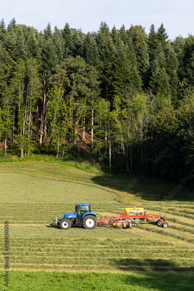 Tractor turning hay in spring meadow, Jura, France Tractor turning hay in spring meadow, Jura, France