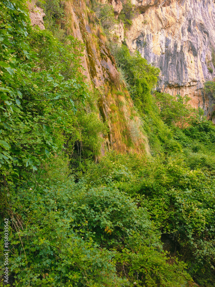 Hillside in nature Hillside in nature