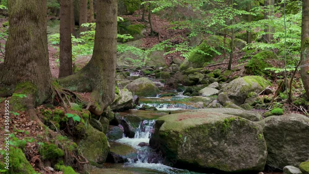 A small waterfall flows over rocks with green moss. Leka among the stones. Nature details A small waterfall flows over rocks with green moss. Leka among the stones. Nature details