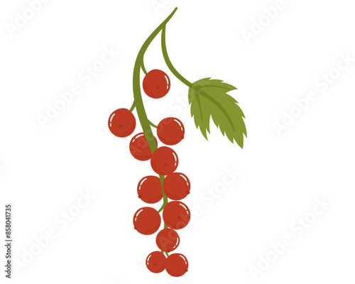 Fruit red currant in cartoon hand drawn simple style. Editable variable color