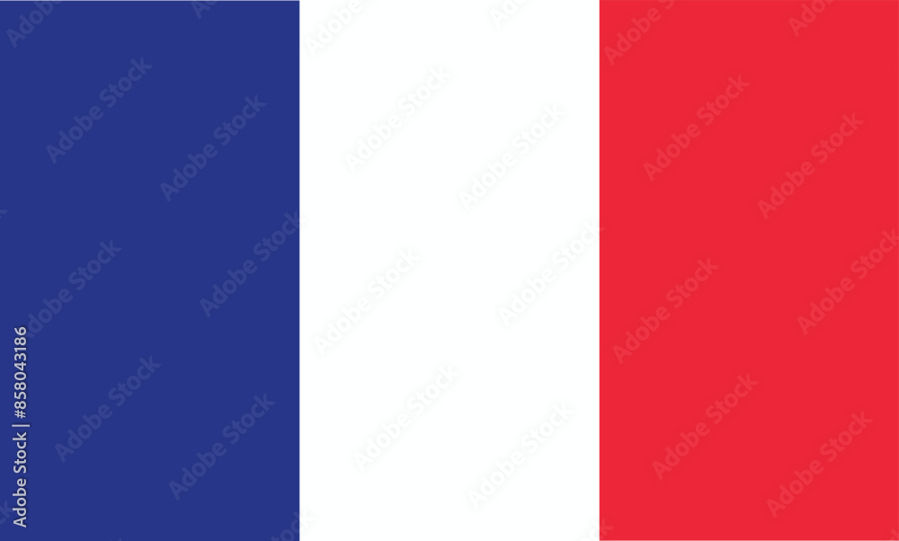 Vector flag of France Vector flag of France