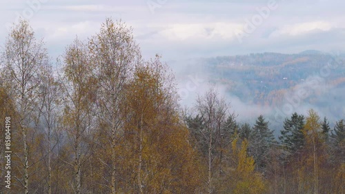 Wallpaper Mural autumn birch trees standing against the backdrop of mountains while it rains Torontodigital.ca