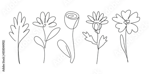 Minimalistic line drawing of various flowers and leaves in black on a white background.