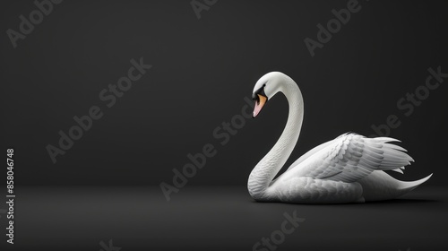 Fototapeta Naklejka Na Ścianę i Meble -  Elegant white swan on dark vertical background