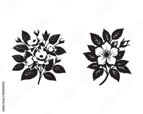 Jessamine, rose silhouette design vector art AI generated