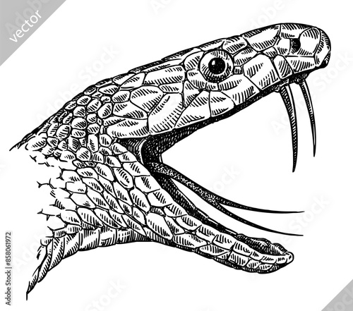 Vintage engraving isolated snake set illustration serpent ink sketch. Reptile asp background viper silhouette cobra art. Black and white hand drawn vector image