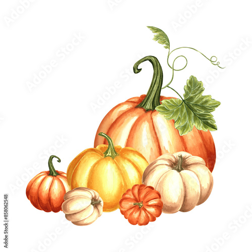 Pumpkins with leaves and tendrils. Autumn composition. Hand drawn watercolor illustration, isolated. Thanksgiving traditional vegetables. Template for invitation, card, Halloween, wrapping, embroidery
