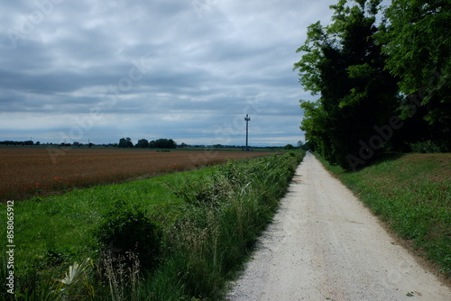vanishing point on a country path under a cloudy sky