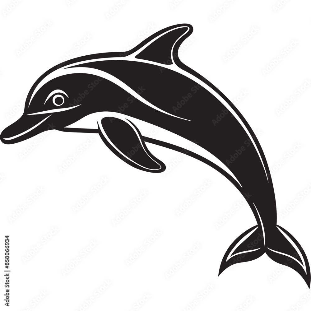 dolphin isolated on white background