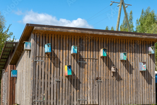 colorful bird cages on the wall of a wooden barn, help for wild birds