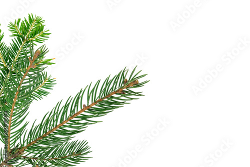 Christmas tree to decorate on white background